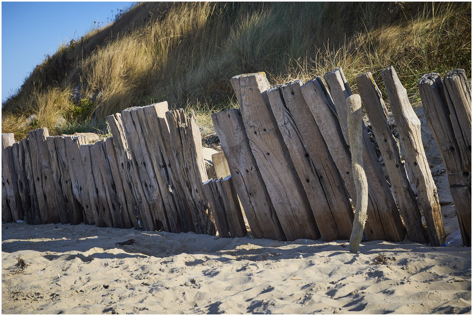 Cotentin15