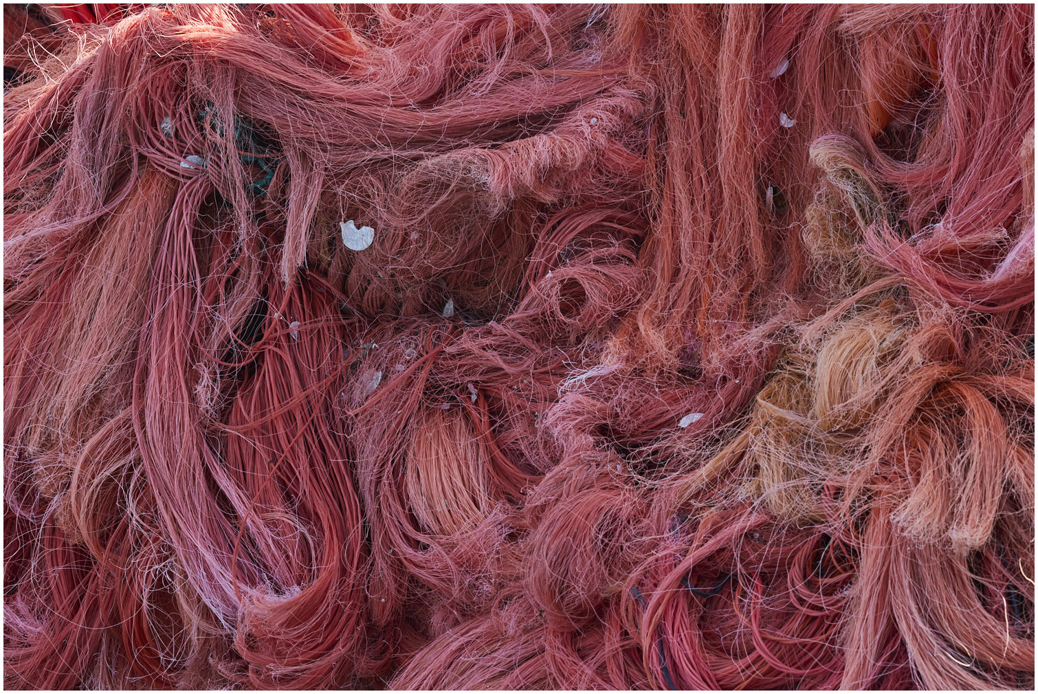 Cotentin43