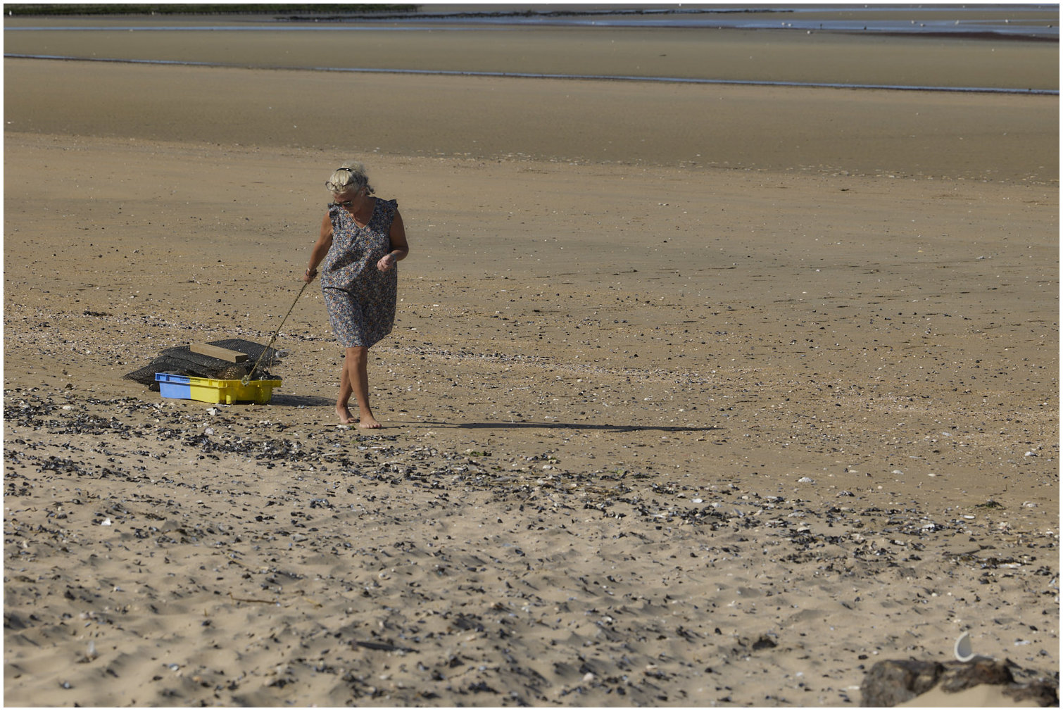 Cotentin62